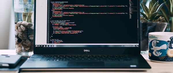 Custom Web Development